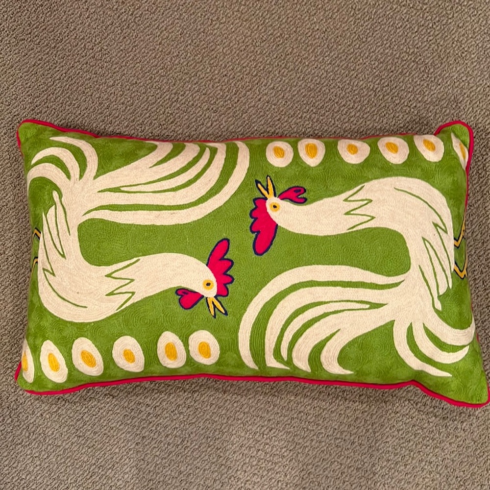 NWOT {Anthropologie} embroidered Vera pillow with filler